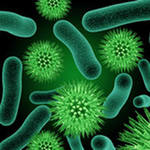 Борьба с бактериями